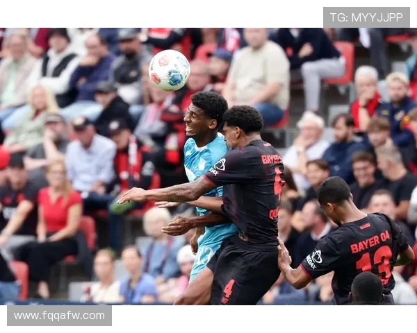 霍芬海姆1899足球俱乐部崛起与德甲赛场发展历程解析 霍芬海姆1899足球俱乐部崛起与德甲赛场发展历程解析