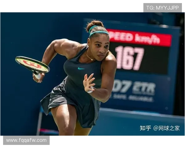 网球赛季激战正酣 小威重返赛场冲击大满贯纪录 网球赛季激战正酣 小威重返赛场冲击大满贯纪录